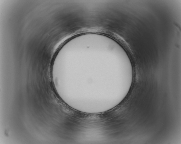 X0000103931174200809191116