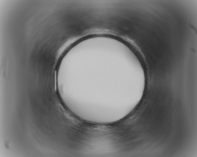 X0000103931175200809191116