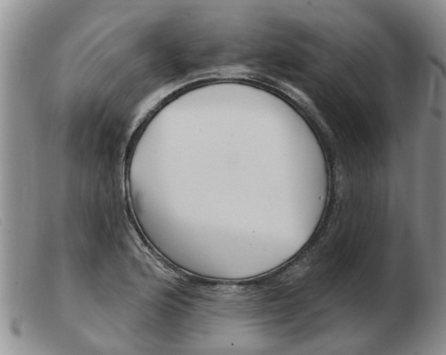 X0000103931176200809191116