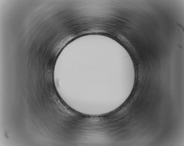 X0000103931177200809191116