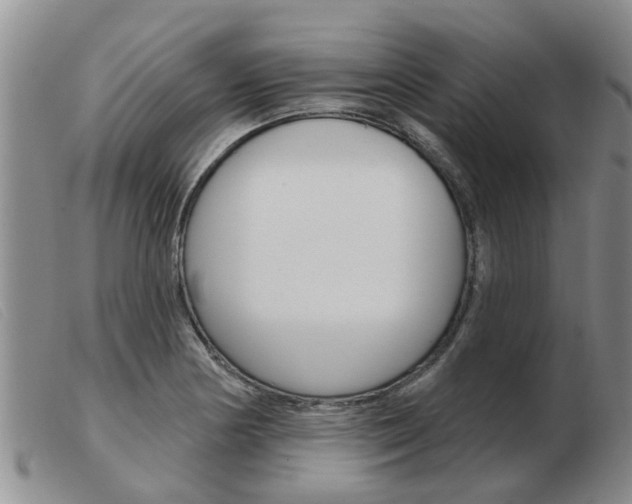 X0000103931178200809191116