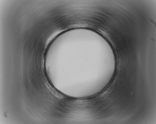 X0000103931179200809191116