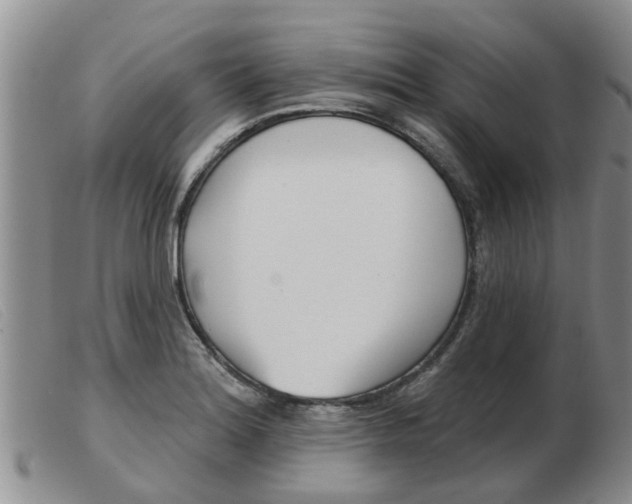 X0000103931180200809191116