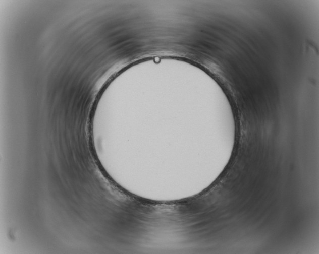 X0000103931181200809191116