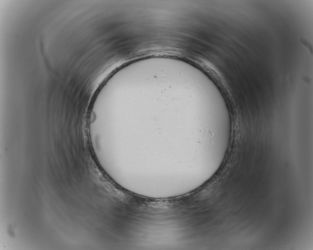X0000103931182200809191116