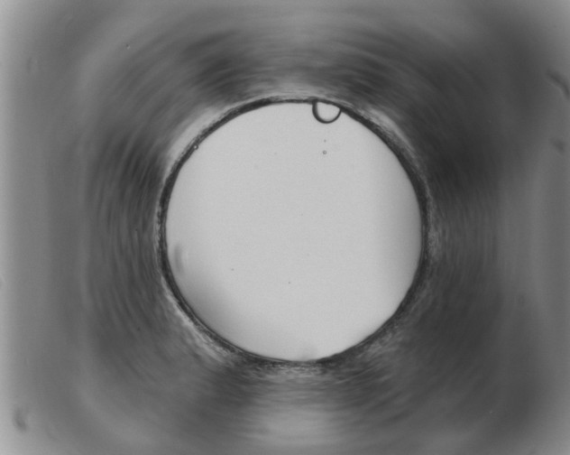 X0000103931183200809191116