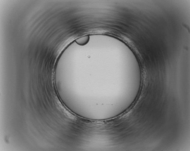 X0000103931186200809191116
