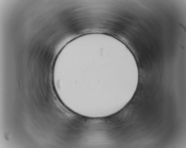 X0000103931187200809191116