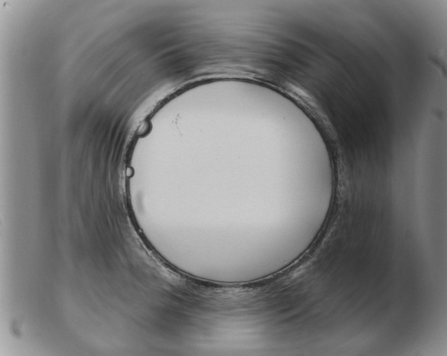 X0000103931188200809191116