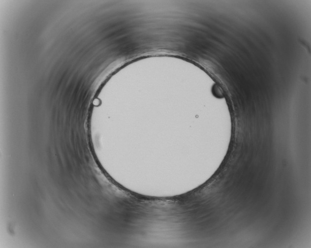 X0000103931189200809191116
