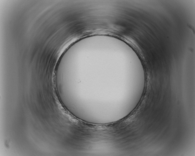 X0000103931190200809191116