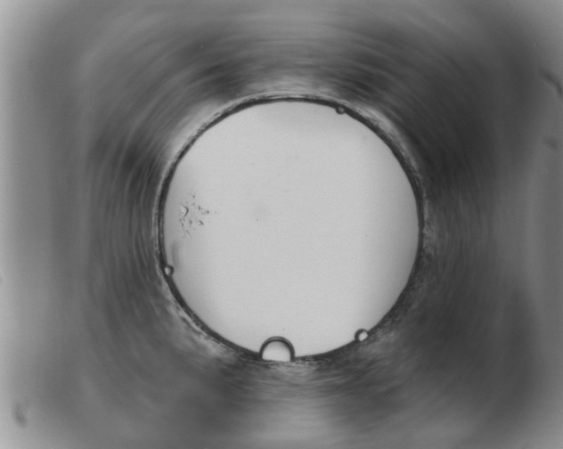 X0000103931191200809191116