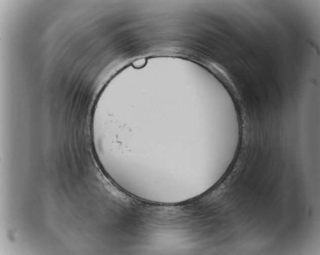 X0000103931192200809191116