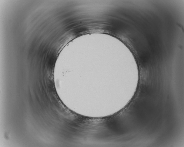 X0000103931193200809191116