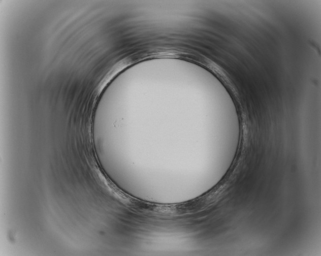 X0000103931194200809191116