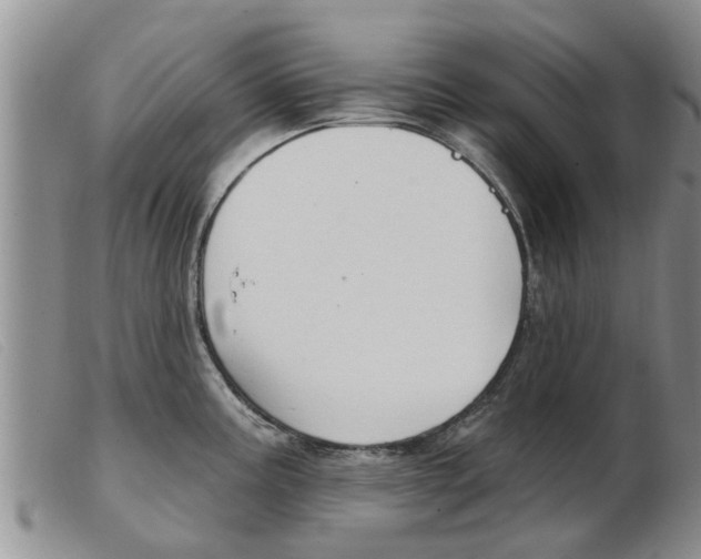 X0000103931195200809191116