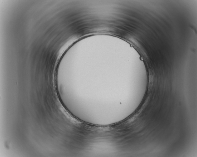 X0000103931196200809191116