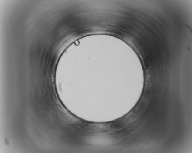 X0000103931197200809191116