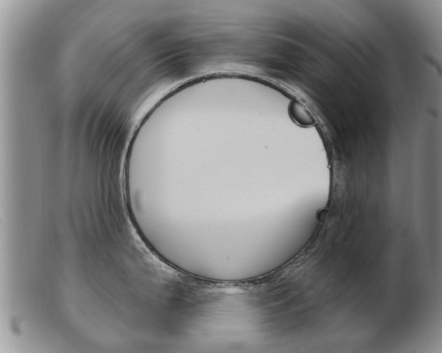 X0000103931199200809191116