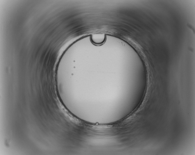 X0000103931200200809191116