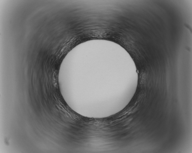 X0000103931202200809191115