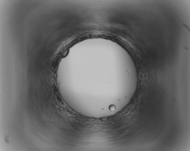 X0000103931207200809191115