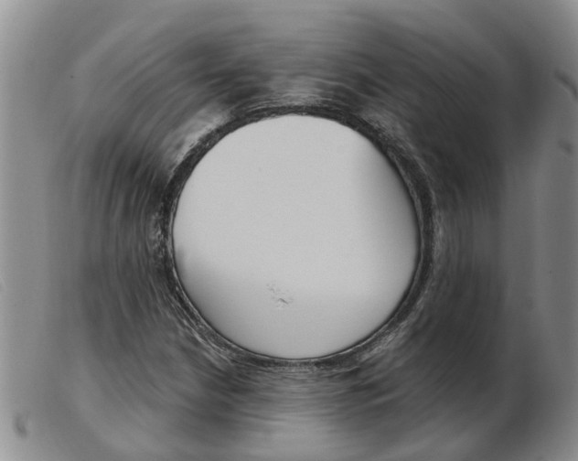 X0000103931210200809191115
