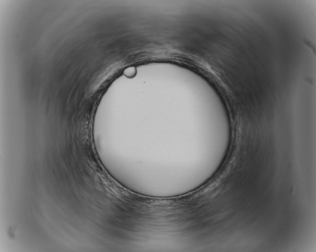 X0000103931211200809191115
