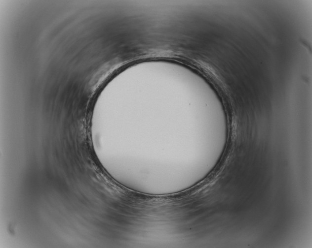 X0000103931212200809191115