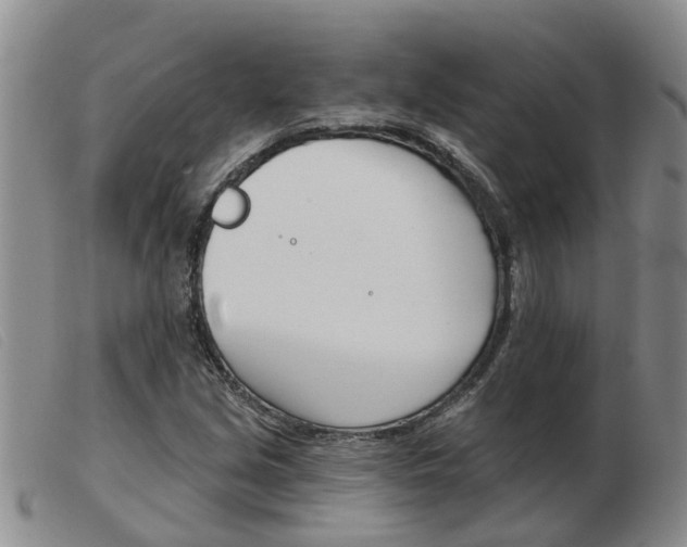 X0000103931213200809191115