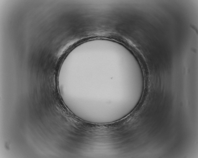 X0000103931214200809191115