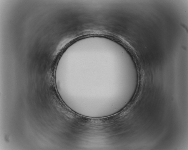 X0000103931215200809191115