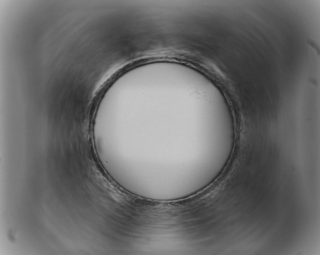 X0000103931216200809191115