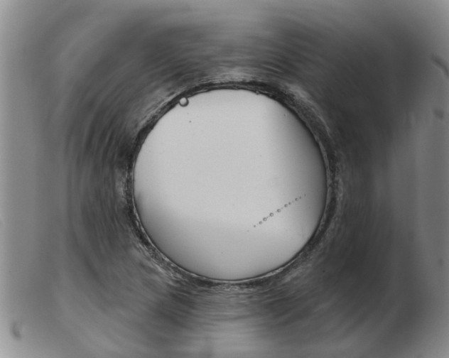 X0000103931217200809191115