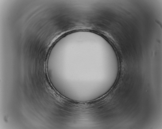 X0000103931220200809191115