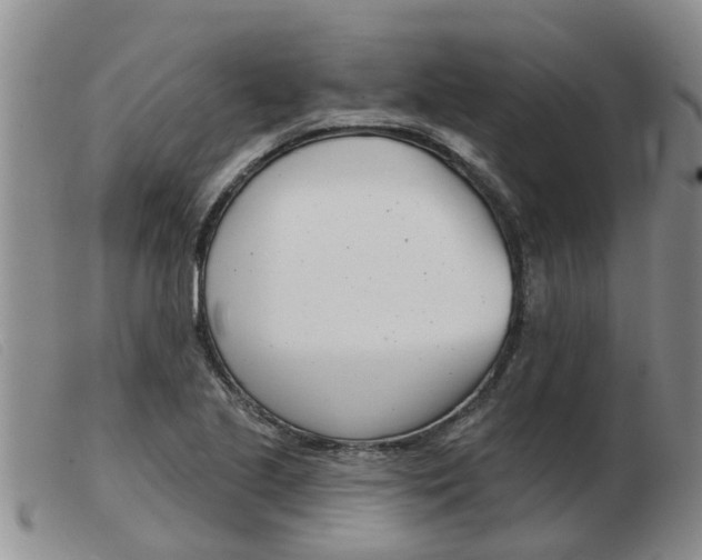 X0000103931221200809191115