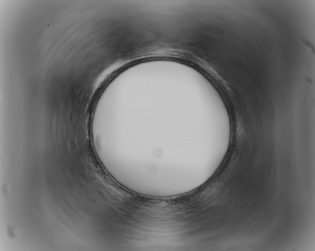 X0000103931222200809191115