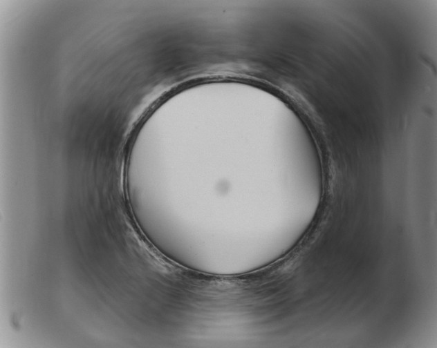 X0000103931224200809191115