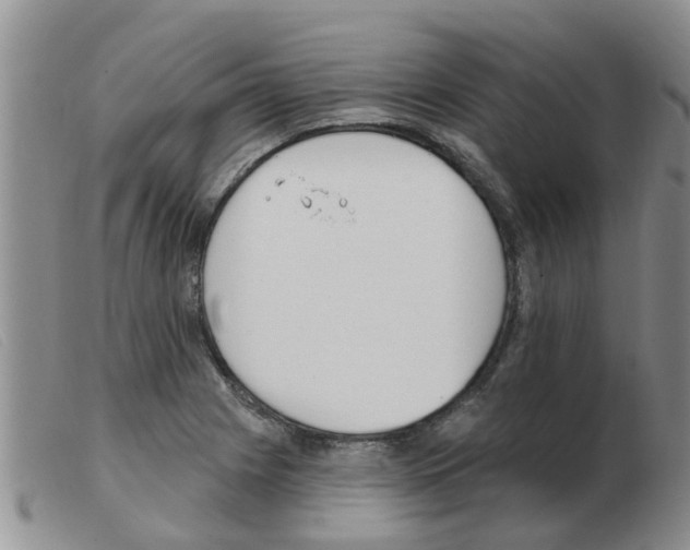 X0000103931225200809191115