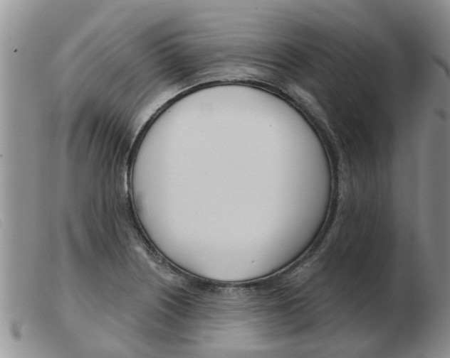 X0000103931226200809191115