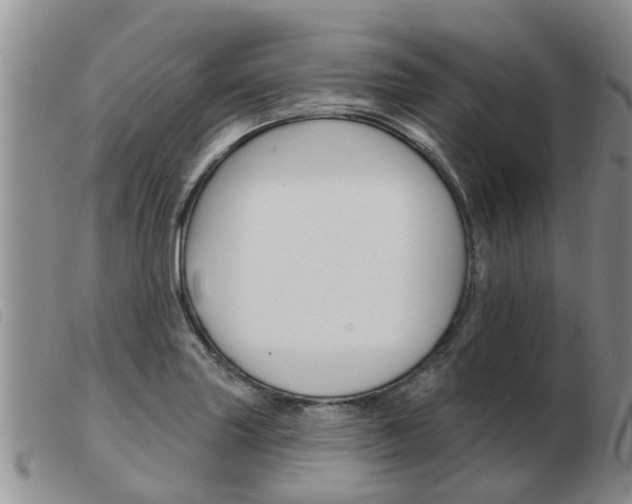 X0000103931227200809191115