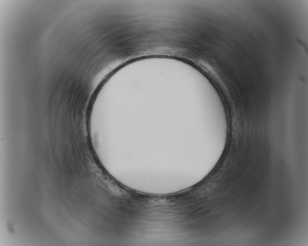 X0000103931230200809191115