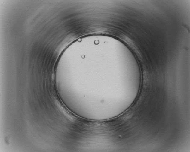 X0000103931234200809191115