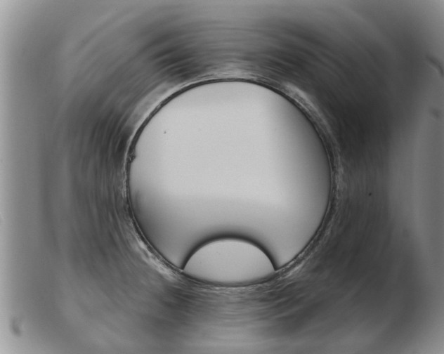 X0000103931236200809191115