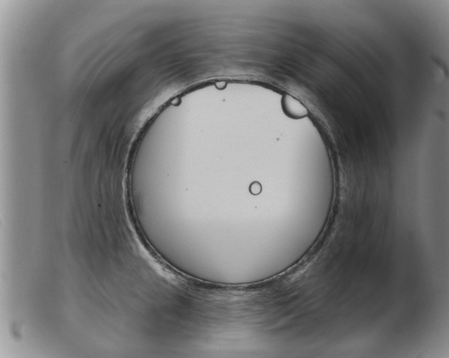 X0000103931237200809191115