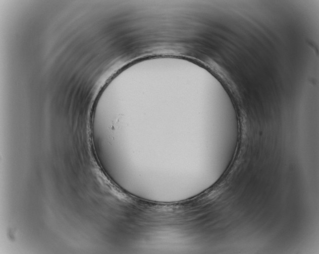X0000103931240200809191115