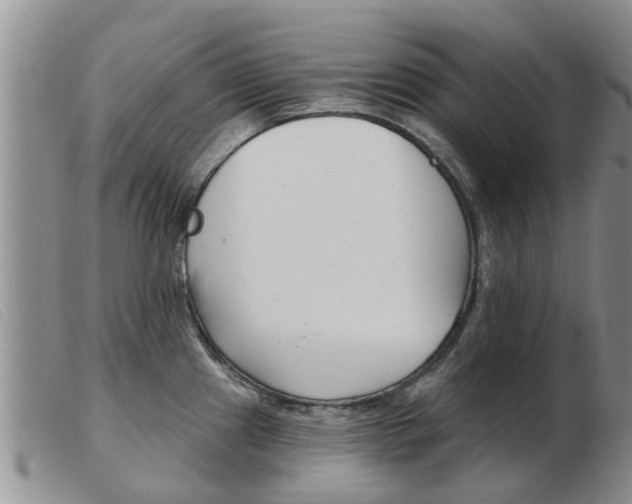X0000103931241200809191115