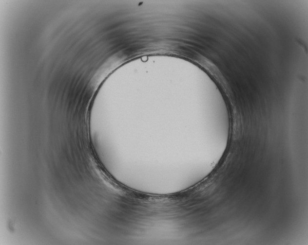 X0000103931242200809191115
