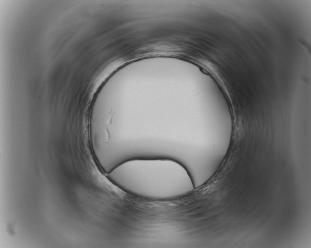 X0000103931243200809191115