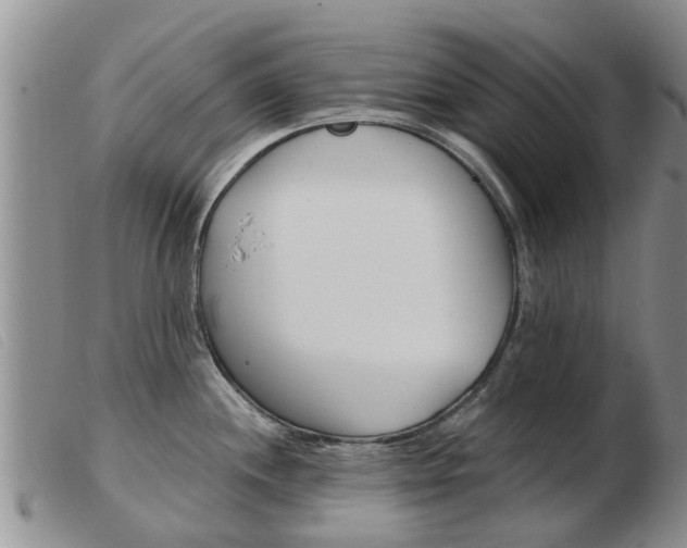 X0000103931244200809191115